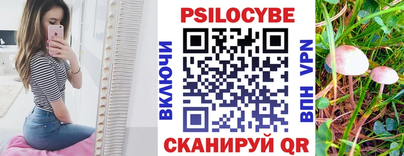 Галлюциногенные грибы ЛСД  закладка  Гудермес 